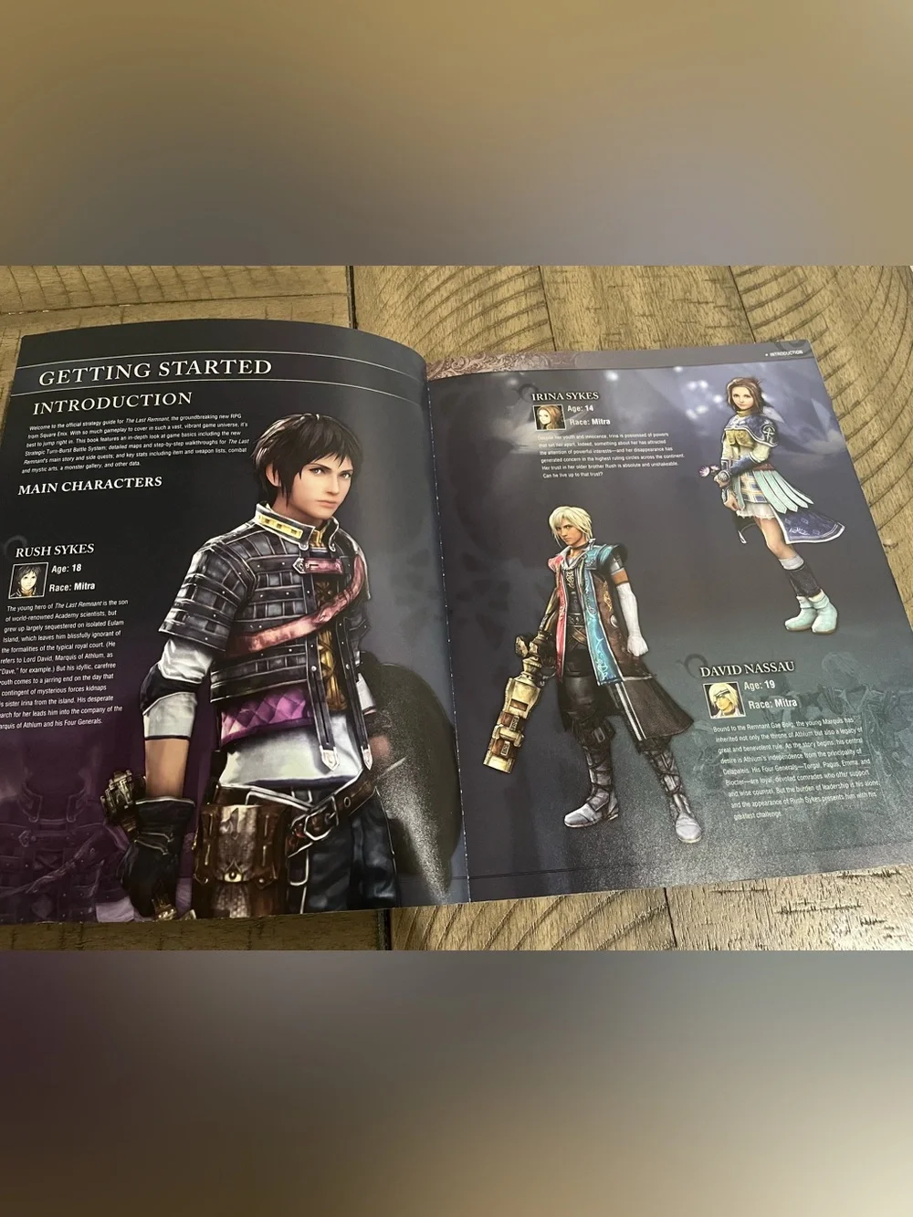 Last Remnant Game Strategy Guide 2008 XBOX 360 Brady Games w/ 2-Sided Poster